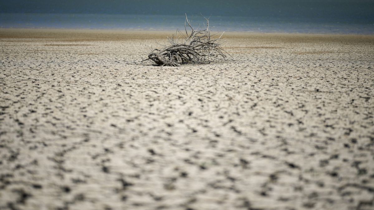 Selon World Weather Attribution, les épisodes de sècheresse en Sicile et en Sardaigne ont été aggravés par le changement climatique. 