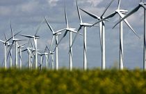 EU financial policymakers want to boost green investment