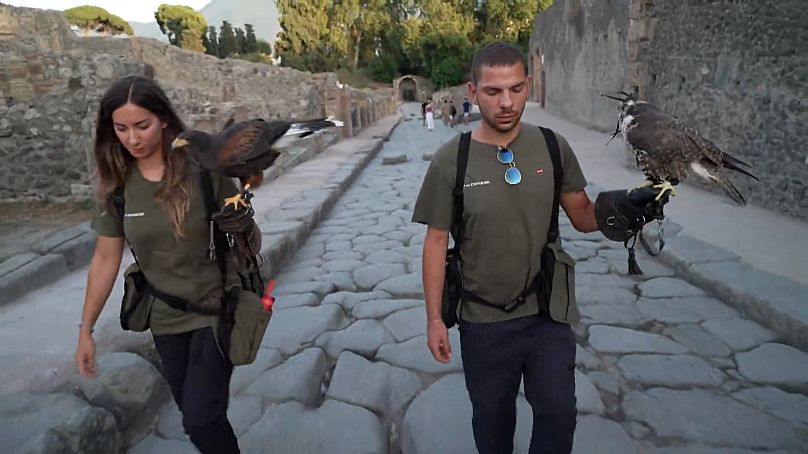 Deux fauconniers sur le site de Pompéi près de Naples