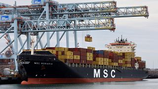 A Mediterranean Shipping Company container ship docked at the Conley Terminal, Friday, March 17, 2023, in Boston. (AP Photo/Michael Dwyer)