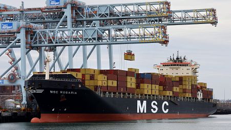 A Mediterranean Shipping Company container ship docked at the Conley Terminal, Friday, March 17, 2023, in Boston. (AP Photo/Michael Dwyer)