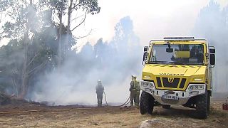 Incêndio florestal queima cerca de 400 hectares na Galiza 