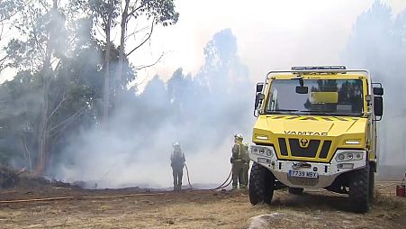 Bomberos.