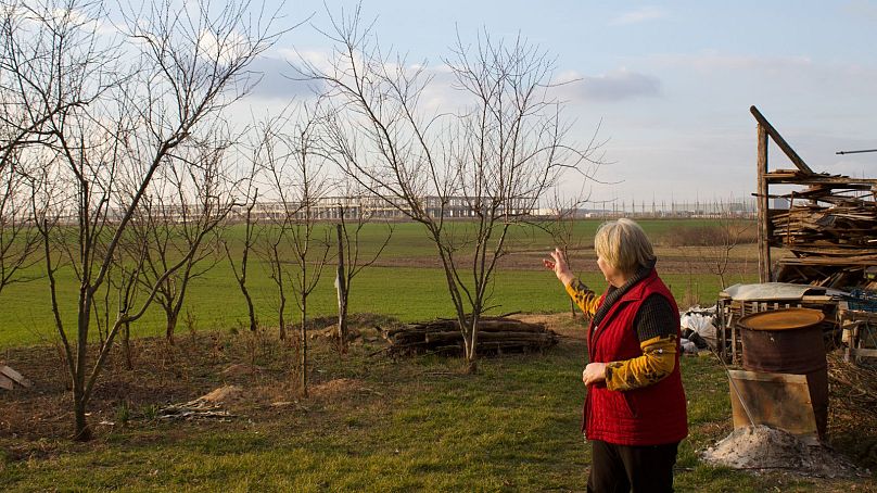 Judit Szemán fabrika kapısının dışındaki tarım arazisini inceliyor.