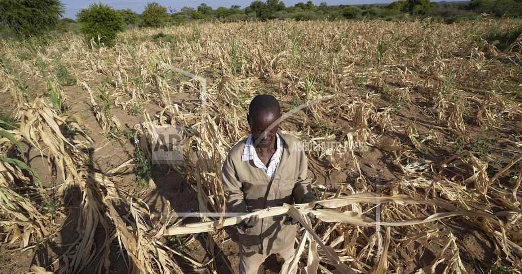 Africa faces unprecedented heat waves amid global record temperatures