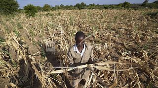 Africa faces unprecedented heat waves amid global record temperatures