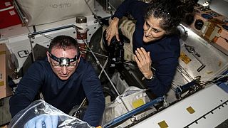 Sur cette photo fournie par la NASA, les astronautes Butch Wilmore, à gauche, et Suni Williams inspectent le matériel de sécurité à bord de la ISS, le 9 août 2024. 