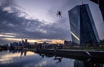 Hanging by a thread, a spider in the railing of a bridge next to the ECB at the river Main in Frankfurt, Germany