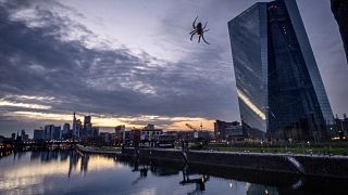 Hanging by a thread, a spider in the railing of a bridge next to the ECB at the river Main in Frankfurt, Germany