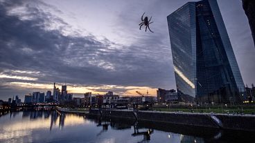 Hanging by a thread, a spider in the railing of a bridge next to the ECB at the river Main in Frankfurt, Germany