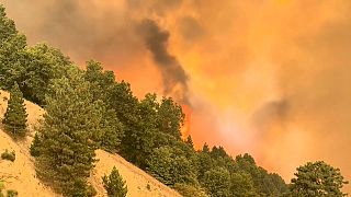 Ein Waldbrand östlich von LA bedroht Zehntausende von Häusern und zwingt zu Evakuierungen.