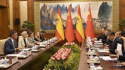 Spain's Prime Minister Pedro Sanchez and China's President Xi Jinping, attend talks at Diayoutai in Beijing.