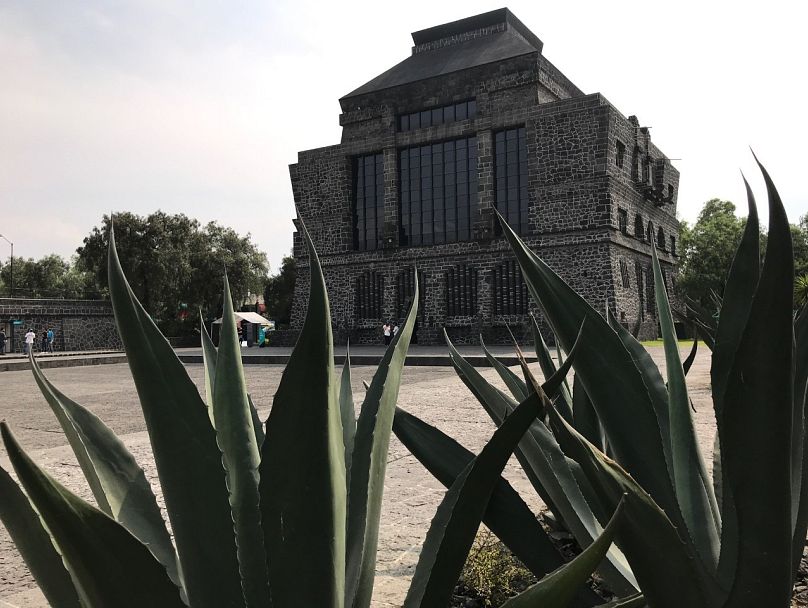 In this photo taken in Mexico City on 31 October 2017, plants frame the Diego Rivera Museo Anahuacalli