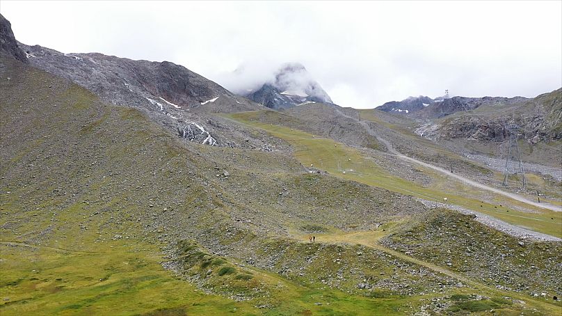 Delle piantine popolano le altitudini più elevate