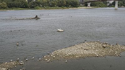 Temperaturas recorde e a falta de chuva estão a ter consequências graves em toda a Europa