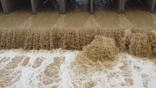 Inondations : au moins 20 morts au Maroc et en Algérie