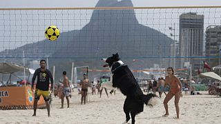 Floki, provocou o espanto dos transeuntes na praia do Rio de Janeiro, no domingo, ao dominar o futevólei, um jogo que desafia até os humanos.