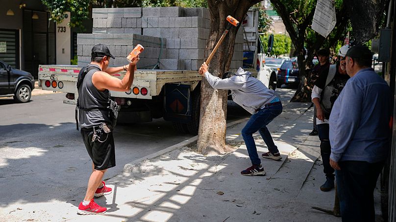 Members of The Tree Army, a group that works to improve the urban forest, break concrete placed on tree roots in Mexico City, 26 August 2024. 