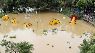 Vietnam'ın başkenti Hanoi'yi etkisi altına alan Yagi Tayfunu nedeniyle parklar sular altında kaldı, 10 Eylül 2024.