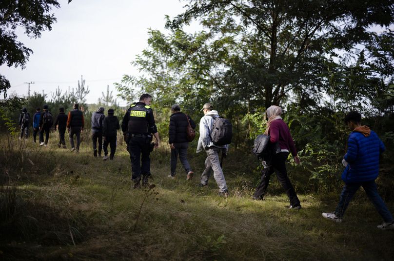 A Federal Police officer escorts a group of migrants who illegally crossed the border from Poland into Germany during a patrol in a forest near Forst, southeast of Berlin, Ger