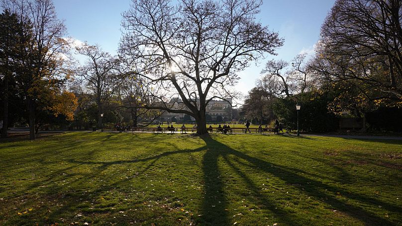 İnsanlar Viyana'daki Stadtpark bahçesinde güneşli bir öğleden sonranın tadını çıkarıyor.