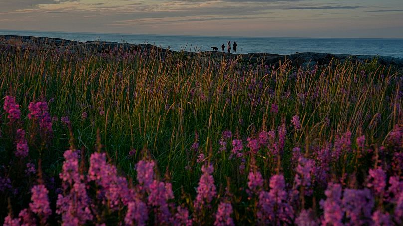 Una familia cerca de la Bahía de Hudson, el 3 de agosto de 2024, en Churchill, Manitoba.