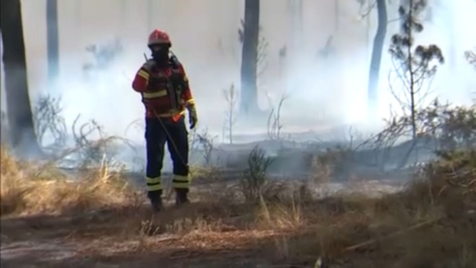Mais de 400 operacionais e 140 meios terrestres combatem incêndio no ...
