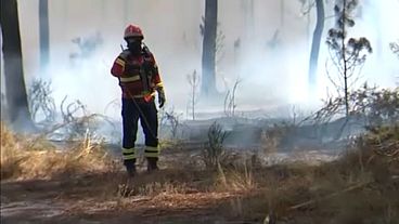 Incêndio na Amora, Seixal