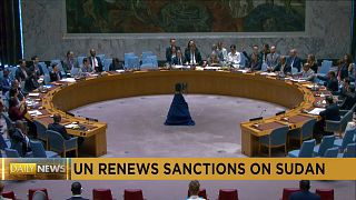 The UN Security Council extends sanctions on Sudan until September 2025