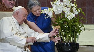 Papst Franziskus ist auf der letzten Etappe seiner Südostasien-Reise von wichtigen Regierungsvertretern in Singapur begrüßt worden. 