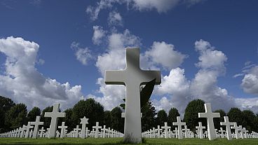 Les Pays-Bas célèbrent le 80ème anniversaire de la libération du pays de l'Allemagne nazie.