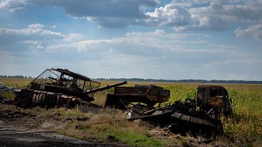 FILE PHOTO - Destroyed Russian tanks lie on a roadside near Sudzha, Kursk region, Russia, Friday, Aug. 16, 2024. 