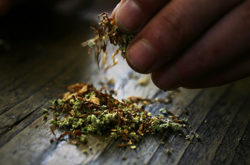 "Cannabis ist immer noch die erste Substanz, die in Europa konsumiert wird."