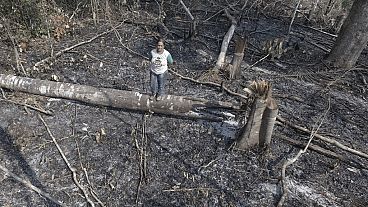 Luzineide Marques da Silva, a rubber tapper, poses for a photo near a damaged tree in the Chico Mendes Extractive Reserve, in Xapuri, Acre state, Brazil in 2023