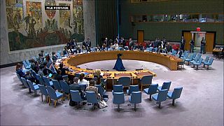 US backs 2 permanent seats for African nations on the UN Security Council