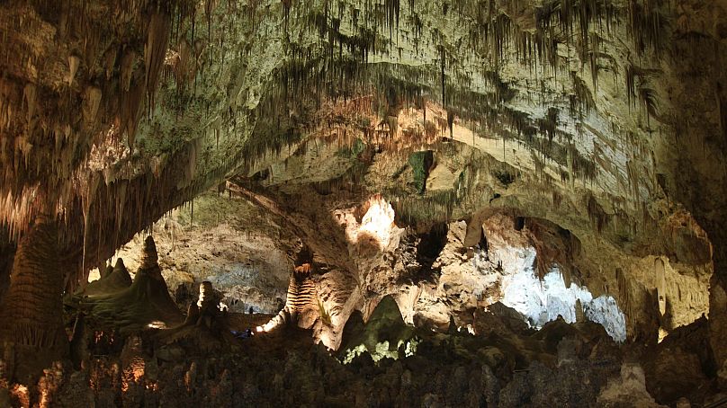 Hundreds of cave formations are shown decorating the Big Room at Carlsbad Caverns National Park near Carlsbad, N.M., December 2010. 