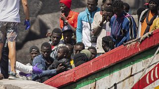 Migration myths vs. facts: Numbers show a decline in Europe