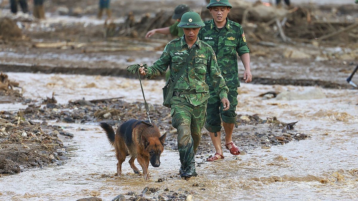 Des secouristes et un chien renifleur recherchent les disparus dans la province de Lao Cai, au Vietnam, le jeudi 12 septembre 2024.