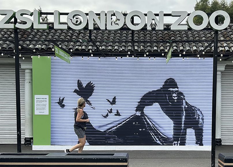 A runner passes a reproduction of a Banksy mural outside the London Zoo, August 18, 2024