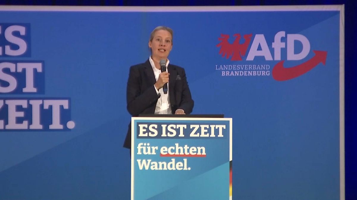 Allemagne : l'AfD, parti d'extrême droite, en tête des sondages dans le Brandebourg