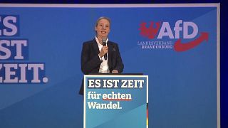 L'AfD, parti d'extrême droite en Allemagne, en tête des sondages dans le Brandebourg