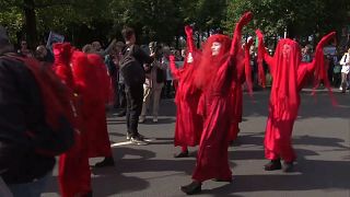 نشطاء من حركة "تمرد ضد الانقراض" يحتجون في لاهاي ضد دعم الحكومة للوقود الأحفوري