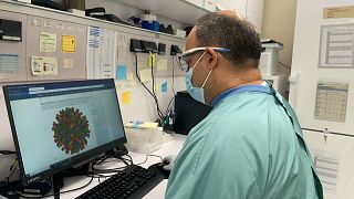 Researcher working on a vaccine against the West Nile virus in the IrsiCaixa laboratories in Barcelona.