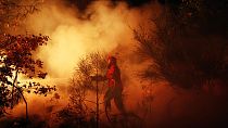 A Portuguese firefighter works on a fire in Tondela, near Viseu, Portugal, Thursday night, Aug. 22, 2013.