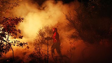 A Portuguese firefighter works on a fire in Tondela, near Viseu, Portugal, Thursday night, Aug. 22, 2013.