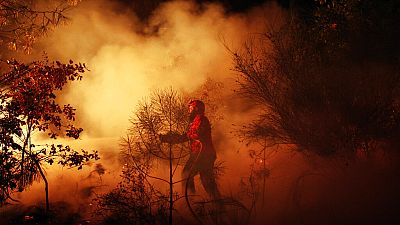 A Portuguese firefighter works on a fire in Tondela, near Viseu, Portugal, Thursday night, Aug. 22, 2013.