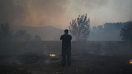 Eine Reihe von Waldbränden hat Wohngebiete in ganz Portugal erreicht. 