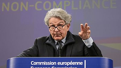 Der Kommissar für den Binnenmarkt der EU, Thierry Breton, wird nicht zu einer zweiten Amtszeit antreten.