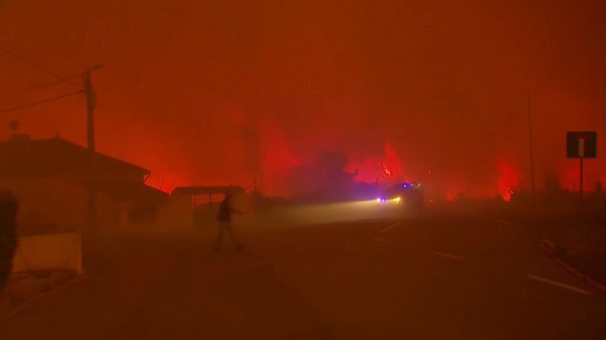 Portugal sucht um Hilfe zur Löschung verheerender Brände, die das Grüne und Trockene zerstört haben