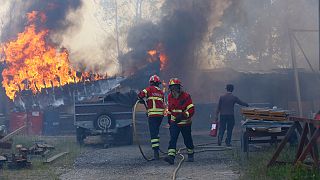 Firefighters work to control a fire in Sever do Vouga, a town in northern Portugal that has been surrounded by forest fires, Monday, Sept. 16, 2024. 